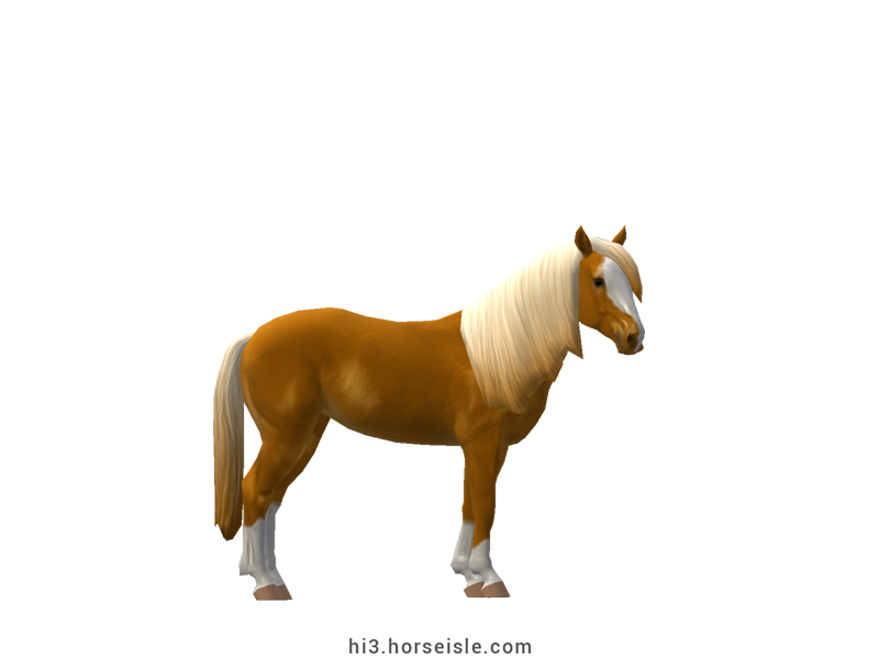 Pony-sized Finnhorse Flaxen Golden Chestnut Coat